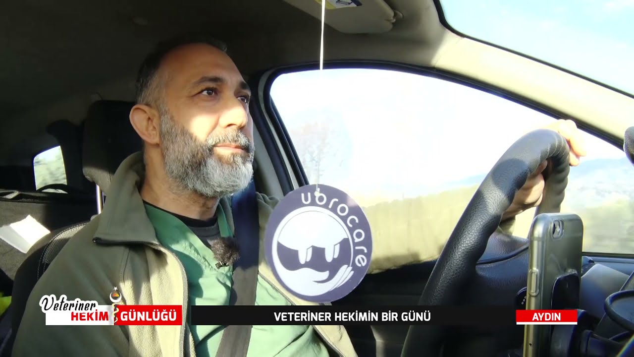 VETERİNER HEKİMLİKTE HASTA MUAYENESİ VE TEDAVİSİ | VETERİNER HEKİM GÜNLÜĞÜ