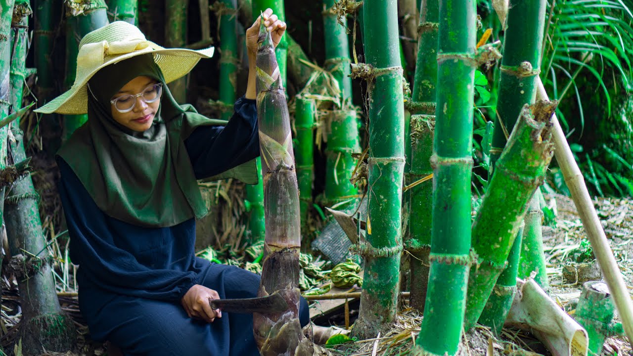 Memetik Rebung, Memasak Bobor Rebung, Menggoreng Bandeng, Sambal Terasi | Kampung Asri