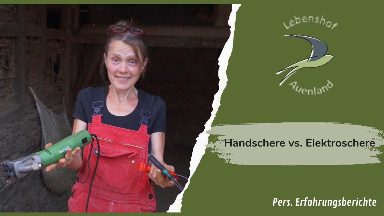 Handschere vs. Elektroschere - Schafe selber scheren