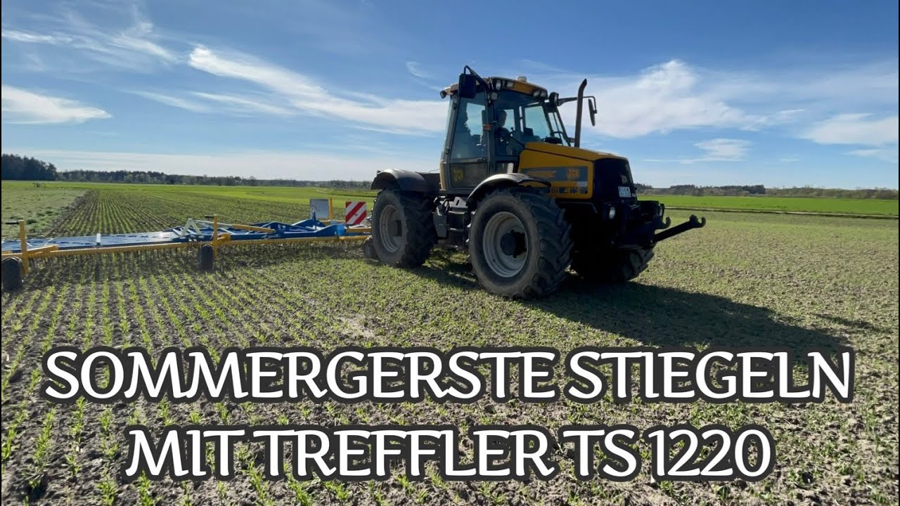 Sommergerste striegeln mit Treffler TS 1220 am JCB