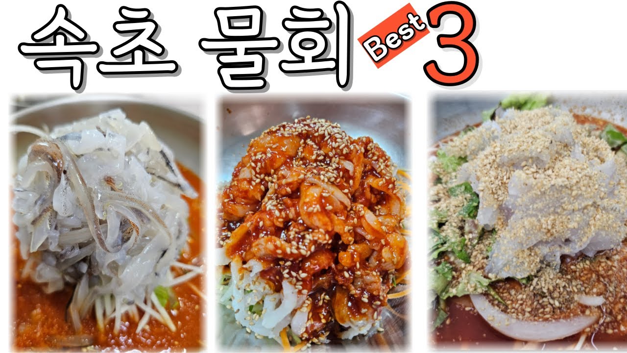 [#속초맛집] 속초 물회 BEST3 #속초물회