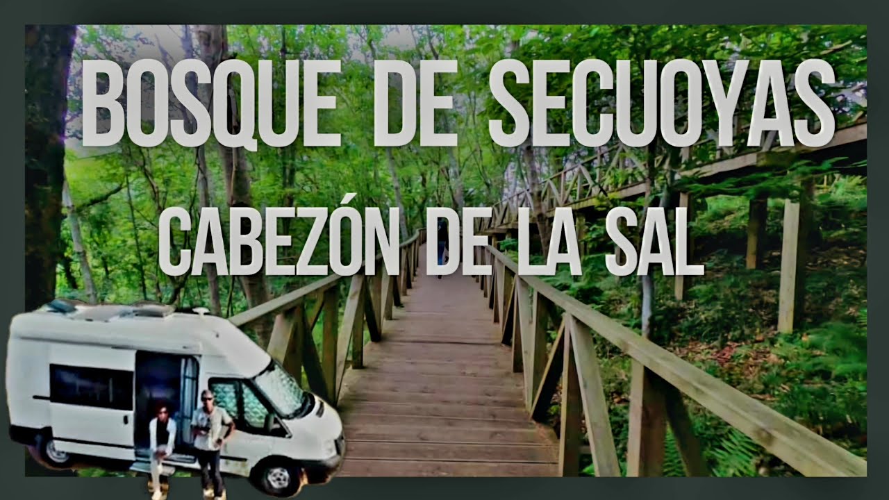 🛑 GUÍA DE VIAJE por CABEZÓN DE LA SAL Cantabria‼️BOSQUE DE SECUOYAS‼️ Dónde aparcar la AUTOCARAVANAS