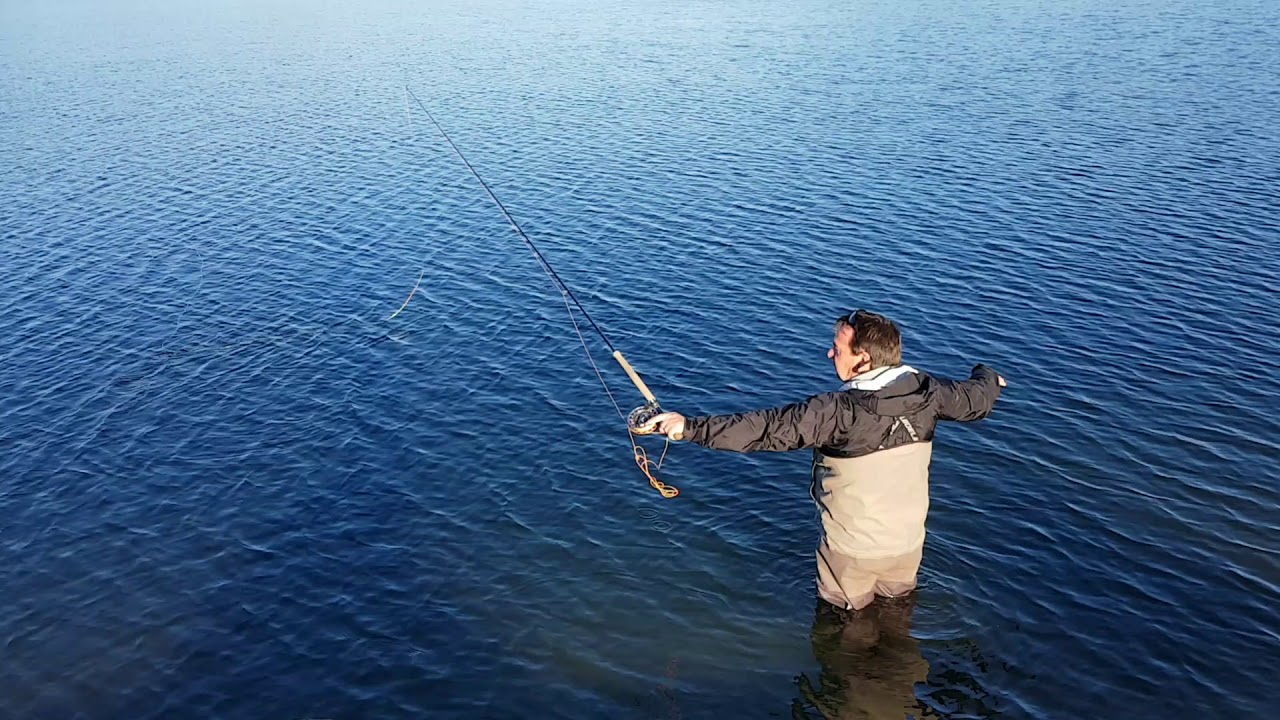 Anchor placement in spey casting with Robert Gillespie