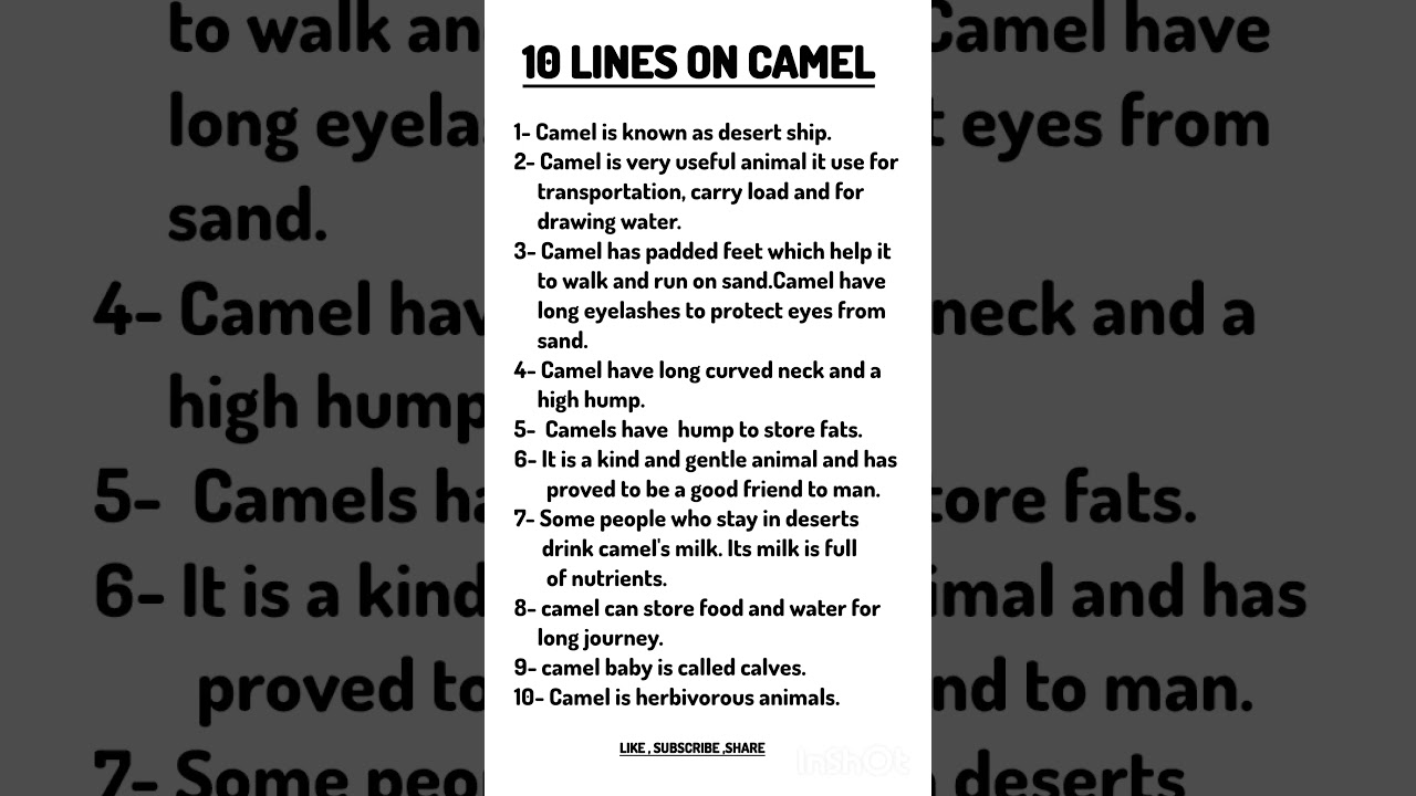 10 lines essay on camel/10 lines on desert animal camel/10 points on domestic animal camel/#animals