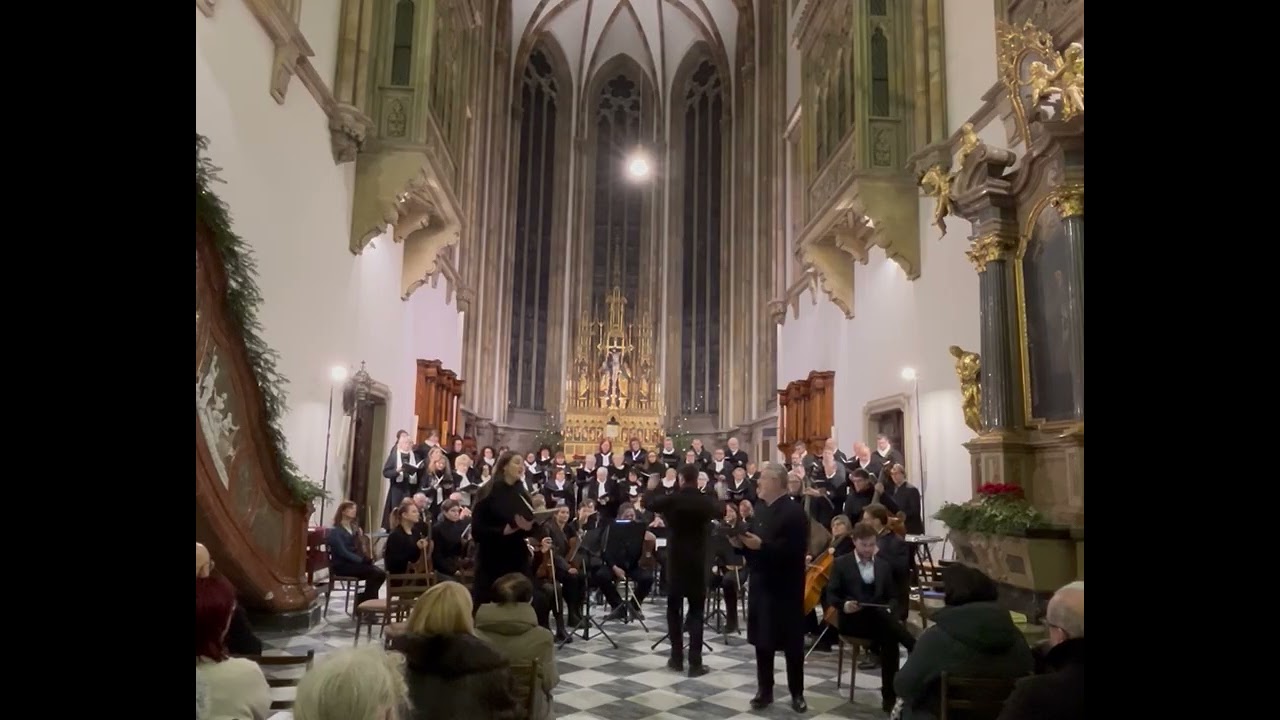 Vánoční koncert, katedrála sv. Petra a Pavla v Brně, 4.ledna 2025