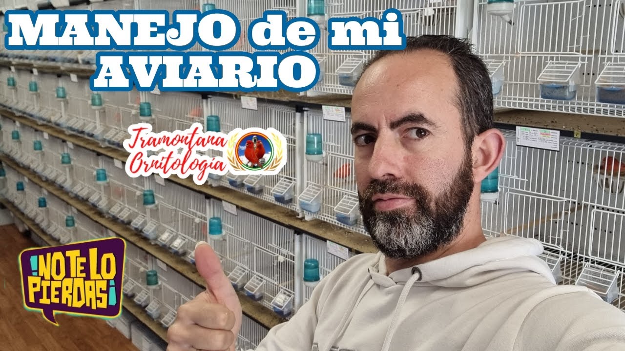 MANEJO de mi Aviario,día a día.
