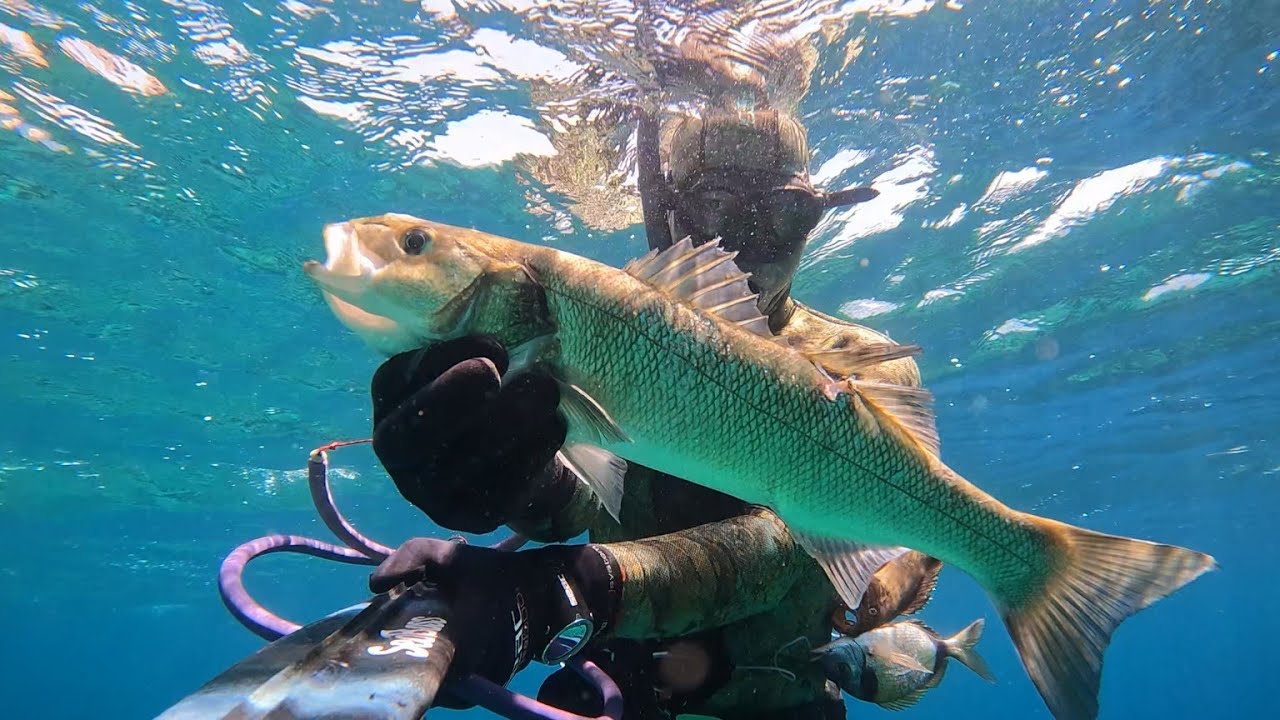 Spearfishing in golful de la mănăstire și multă bălăceală in Aliki si Porto Vathy Thassos Grecia