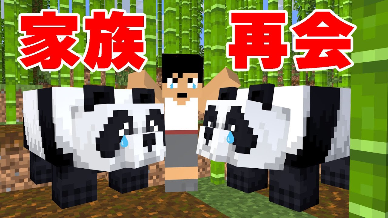 全米が泣いた😢パンダ夫婦が奇跡の再会！！【マイクラ】