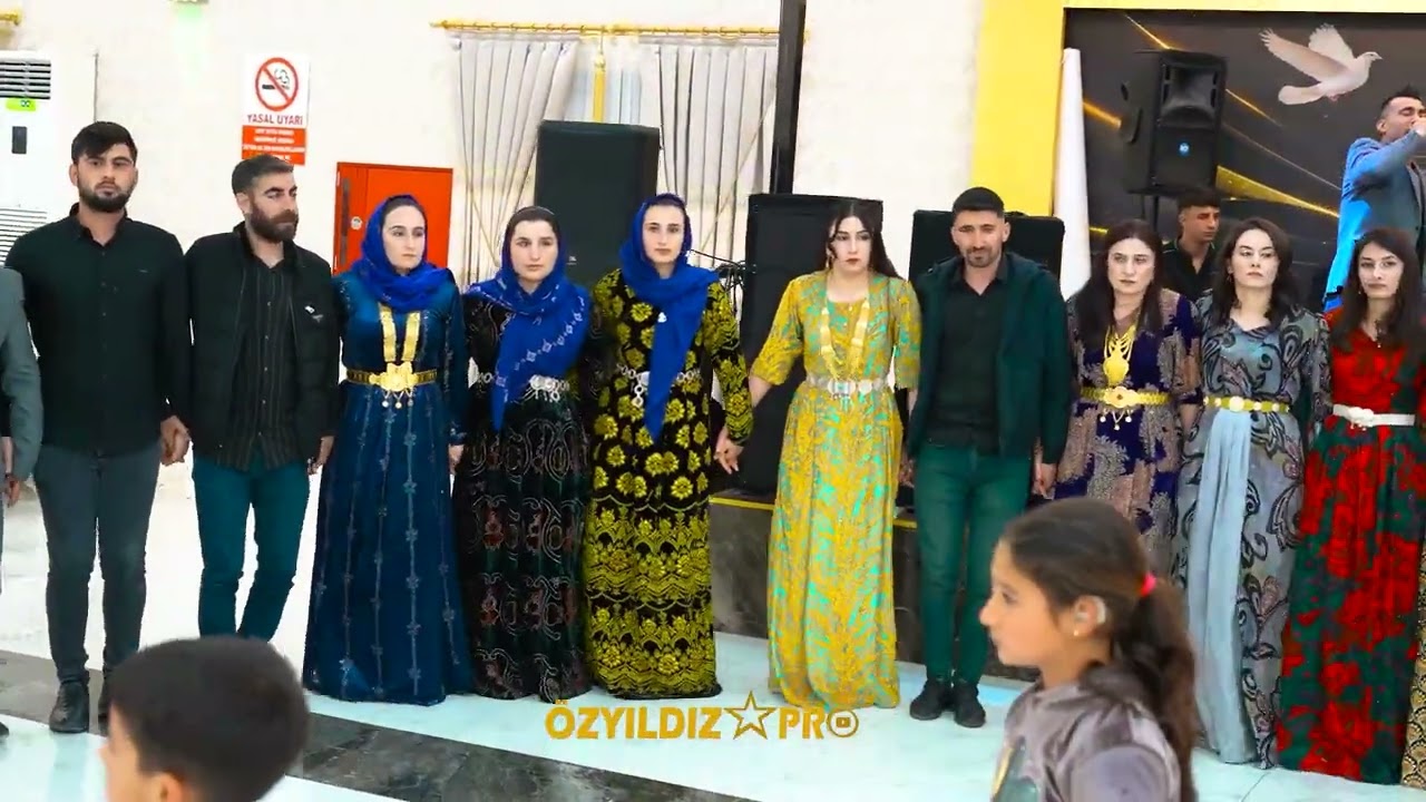 Halayın Memleketi Viranşehir #halay #halaybasi #düğün #halaymashup #kurdish #kürtçe