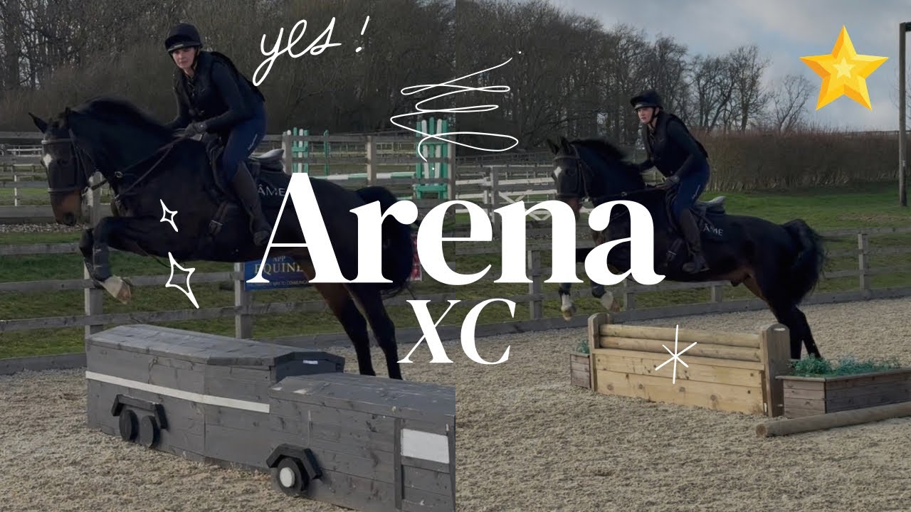 Arena XC | Stars First 80cm fence 😁