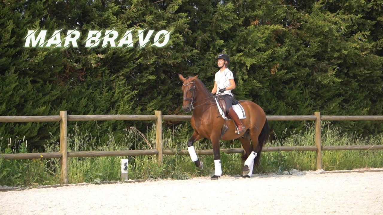 Mar Bravo AR