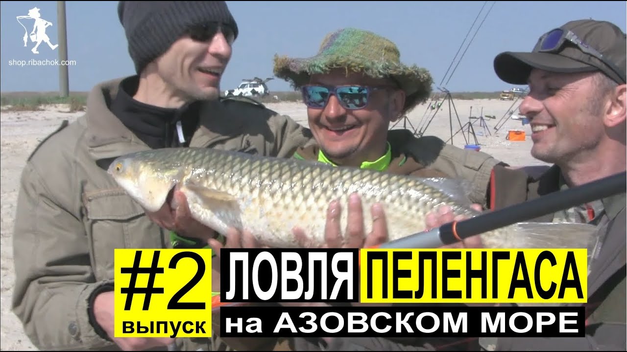 Ловля Пеленгаса с берега весной. Азовское море. Выпуск #2