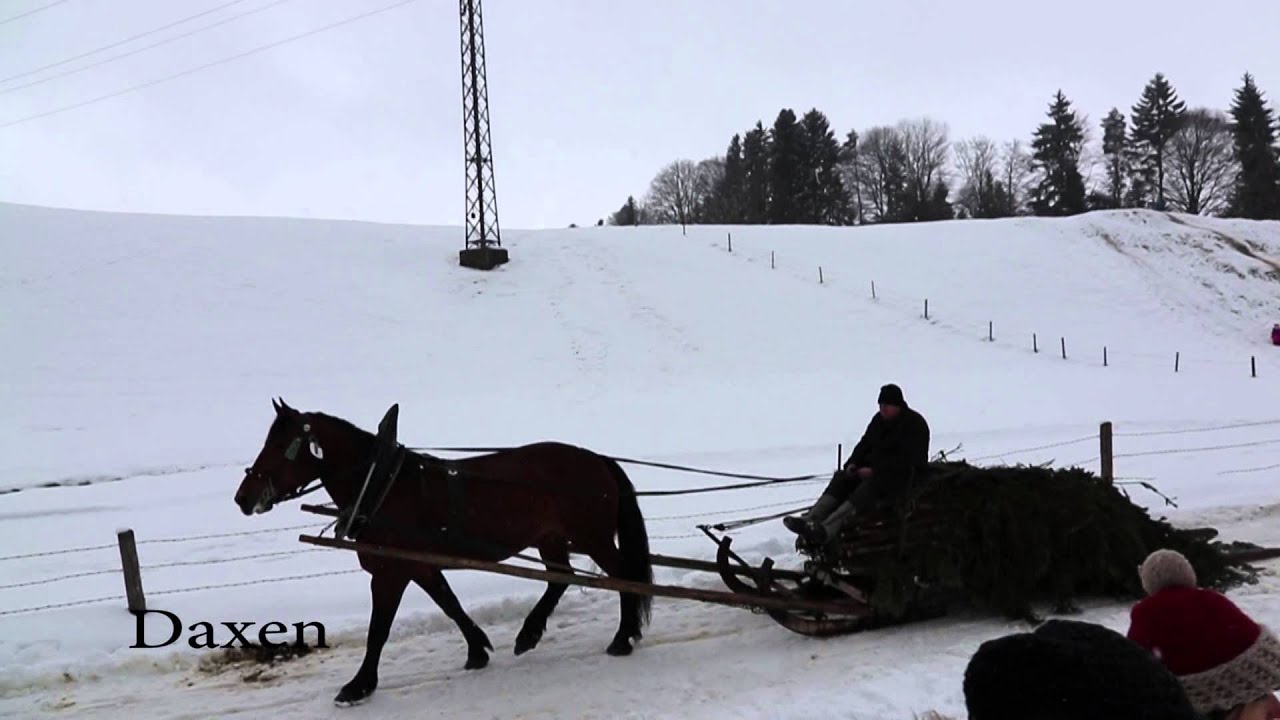 Pferdeschlittentreffen Benediktbeuern 2015