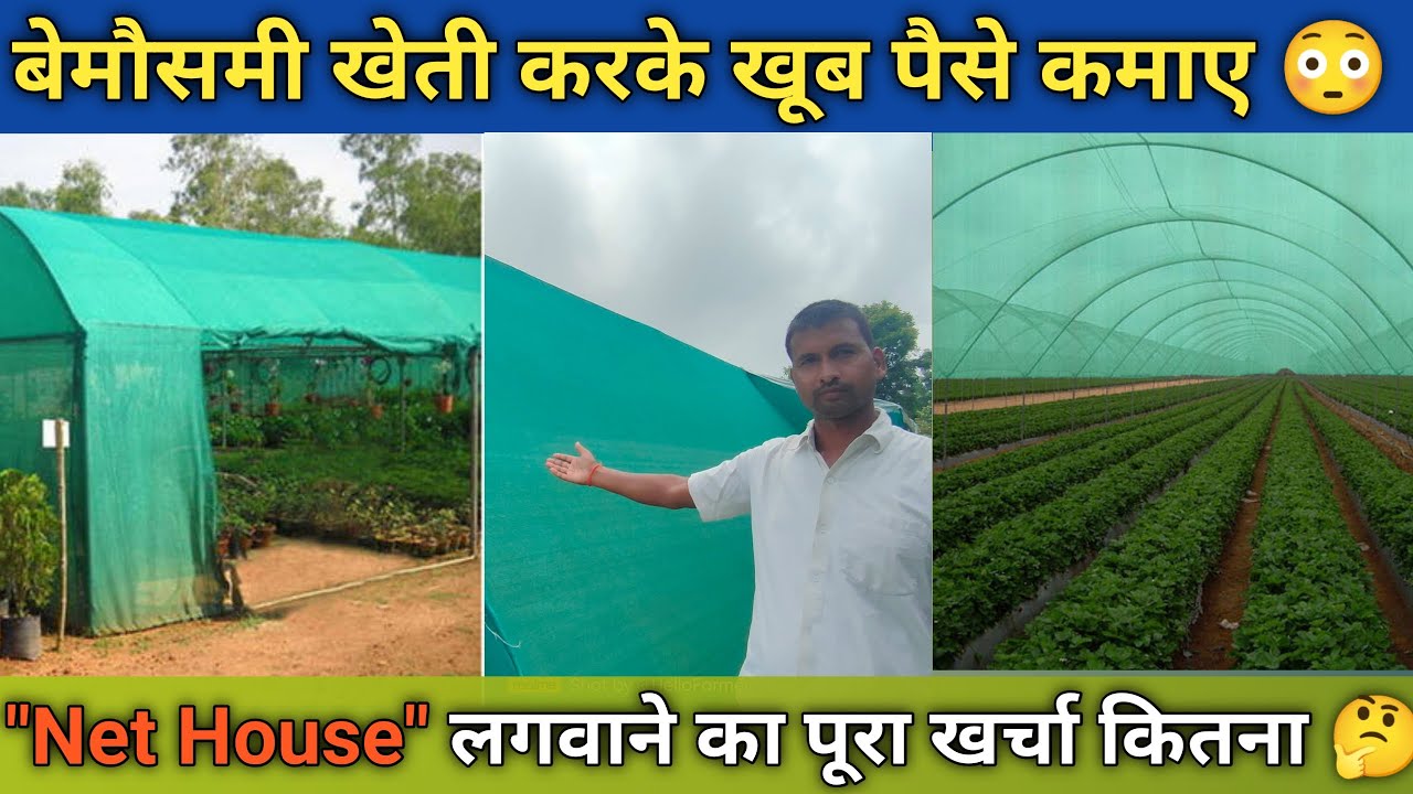Polyhouse - Net house Farming in India | कैसे लगाए Net house | Greene House | Polyhouse | Net House