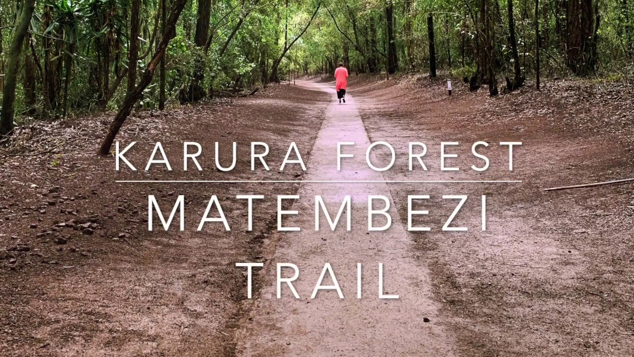 Karura Forest - Opening the Matembezi Trail