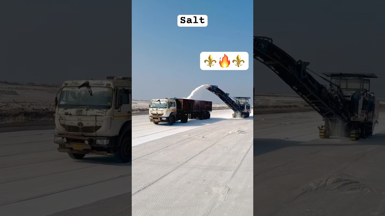 Kutch Salt 