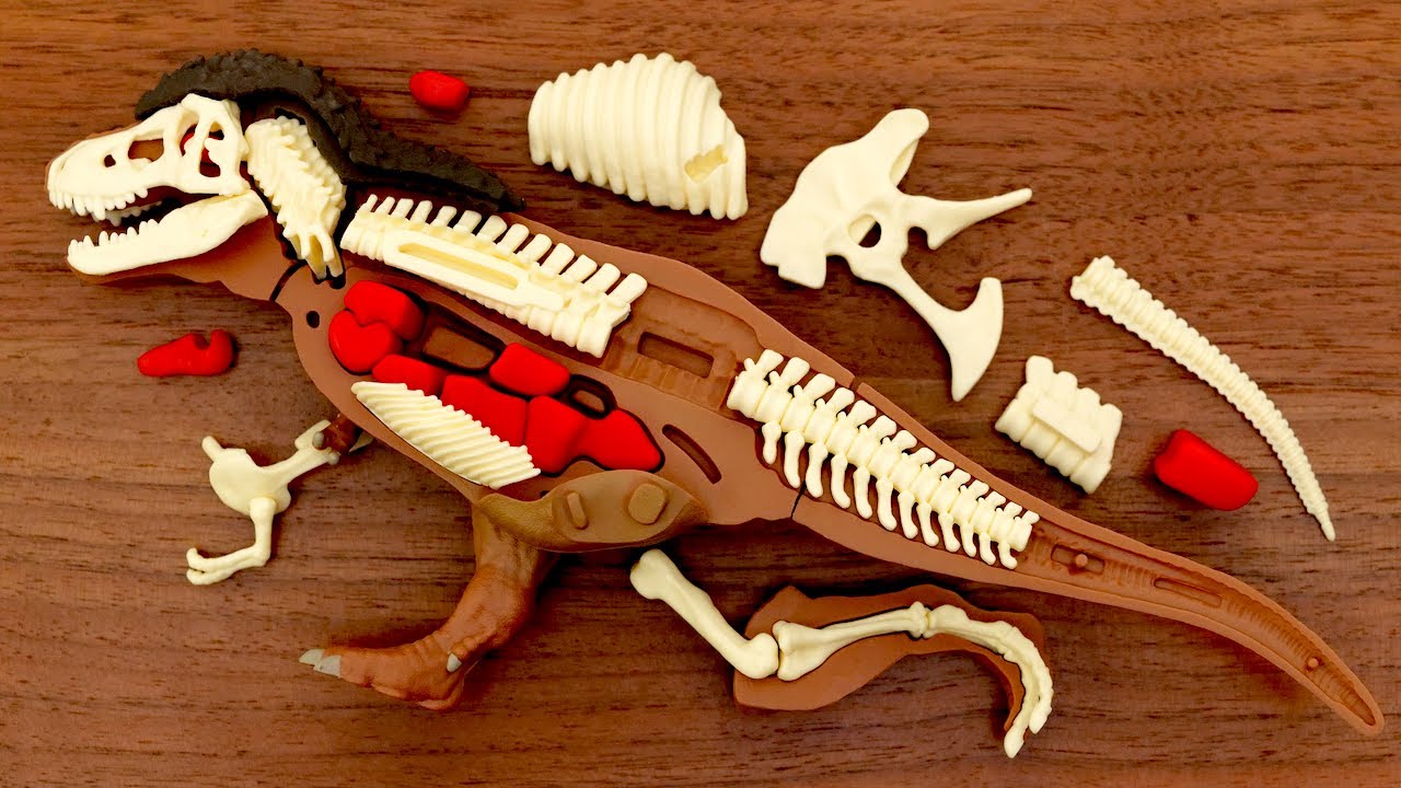 ティラノサウルス解体パズル。手が滑り恐竜を絶滅させてしまう。Tyrannosaurus rex demolition puzzle. toy. Dinosaur chocolate