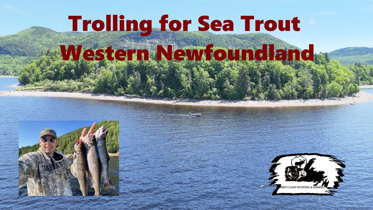 Trolling for Sea Trout, Western Newfoundland