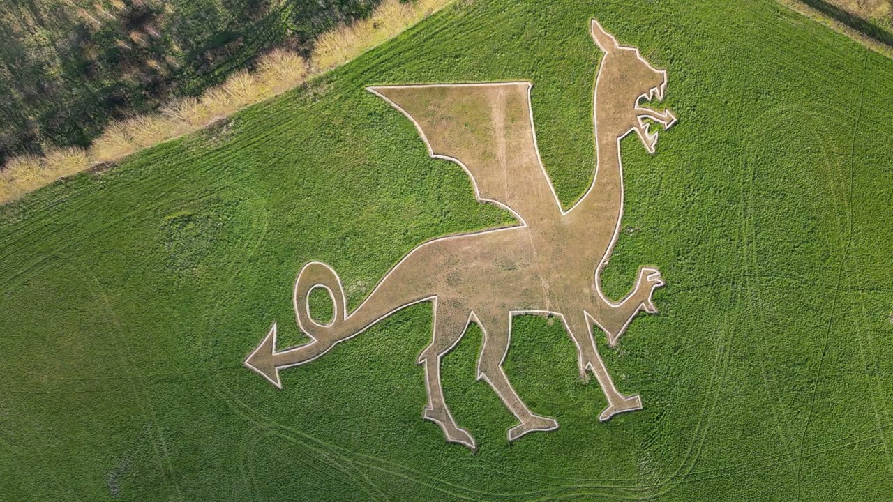 Bures Dragon