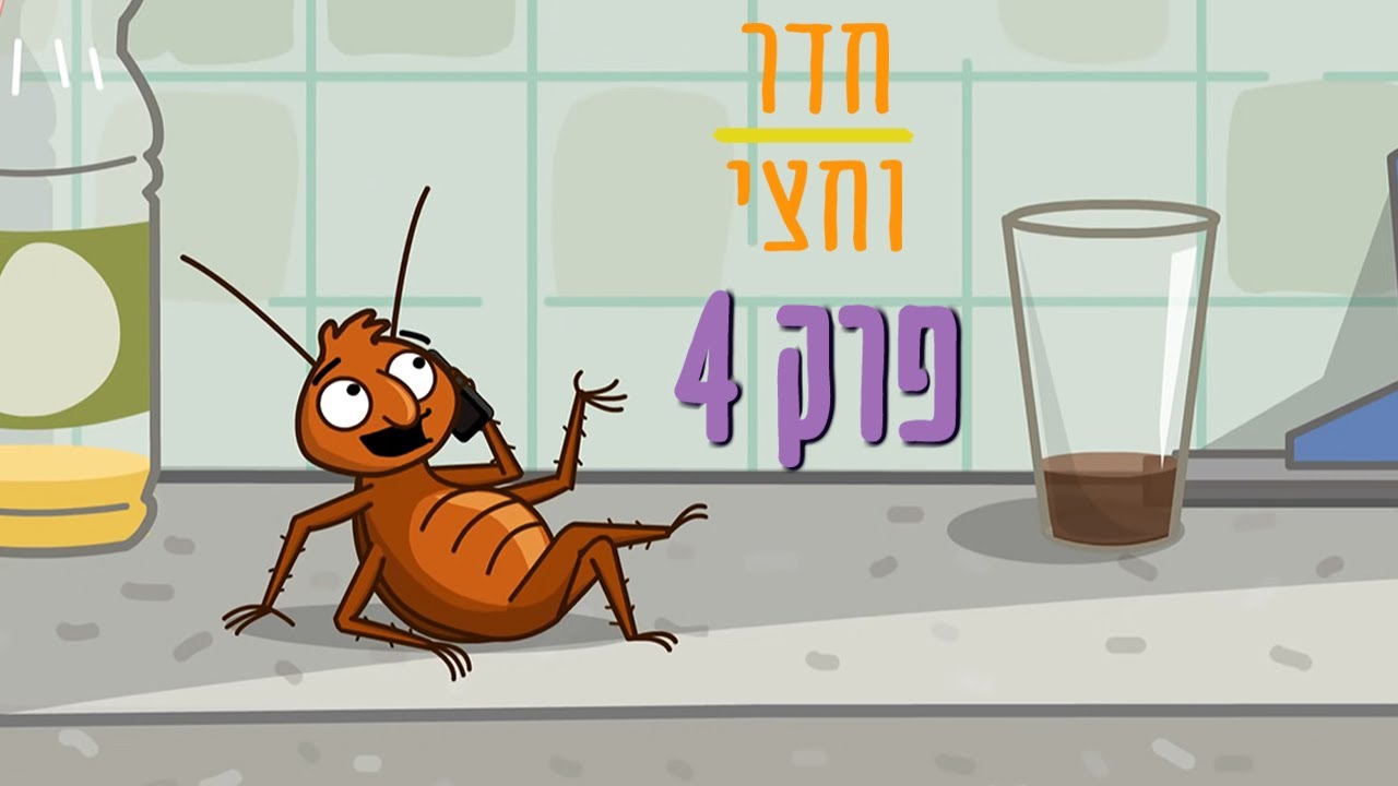 ניר וגלי חדר וחצי - דותן הג'וק