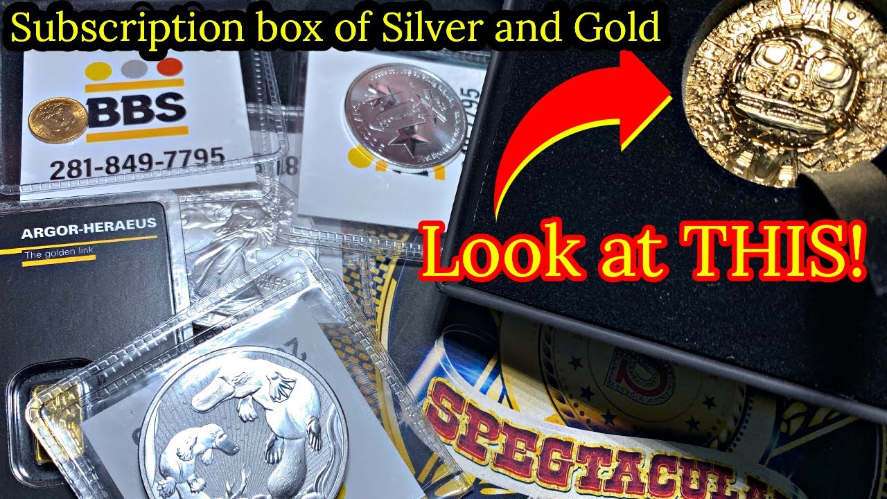 THIS was in my SILVER and GOLD subscription box!