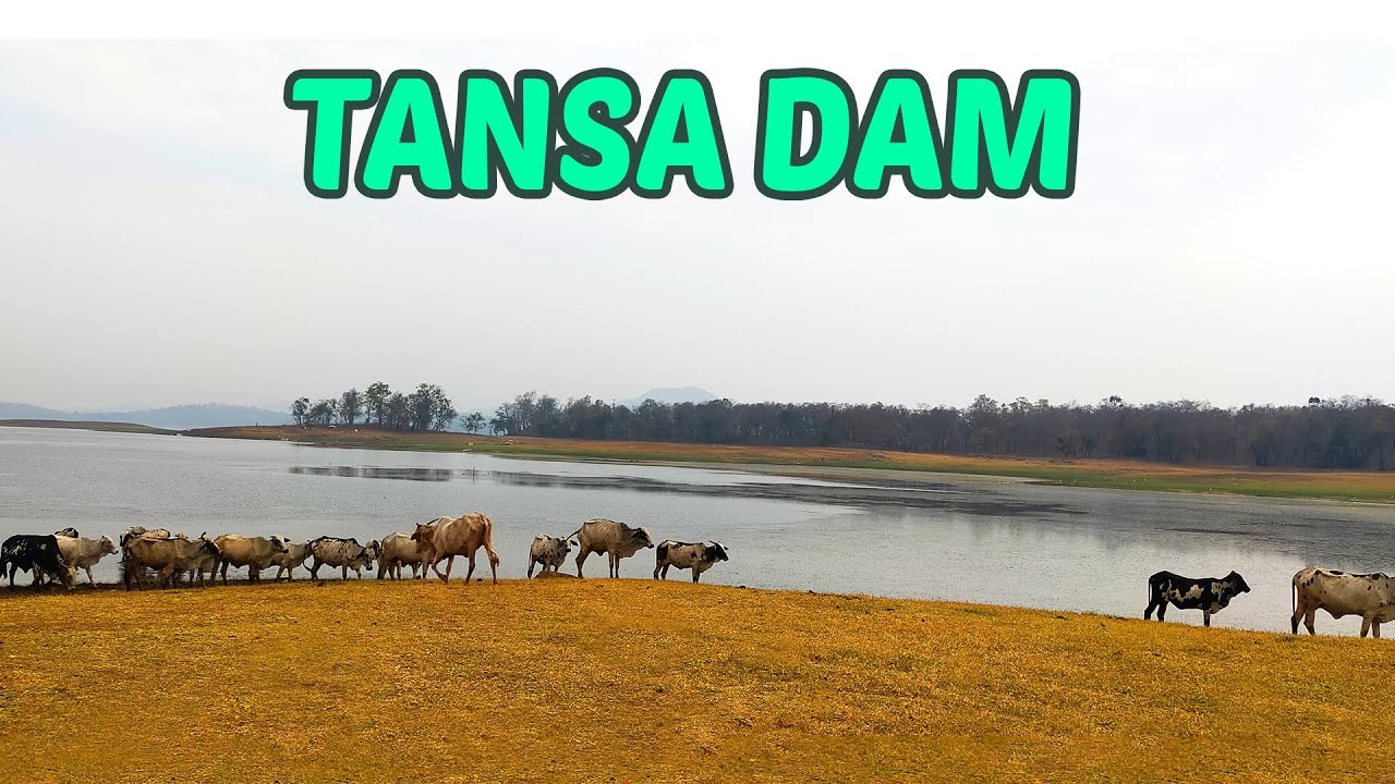 Tansa Dam Ride - Shahapur | तानसा धरण - मराठी vlog | Tansa Lake #tansa