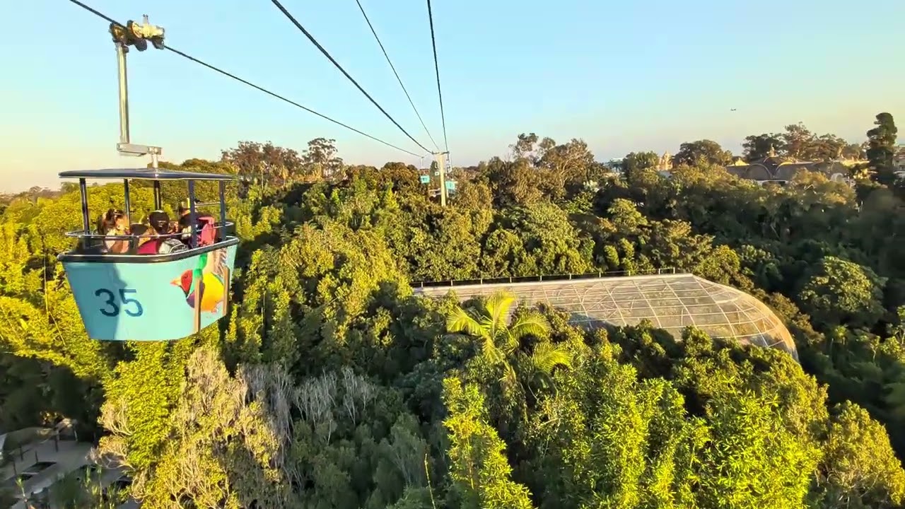 San Diego Zoo ~ Skyfari® Aerial Tram - 202511