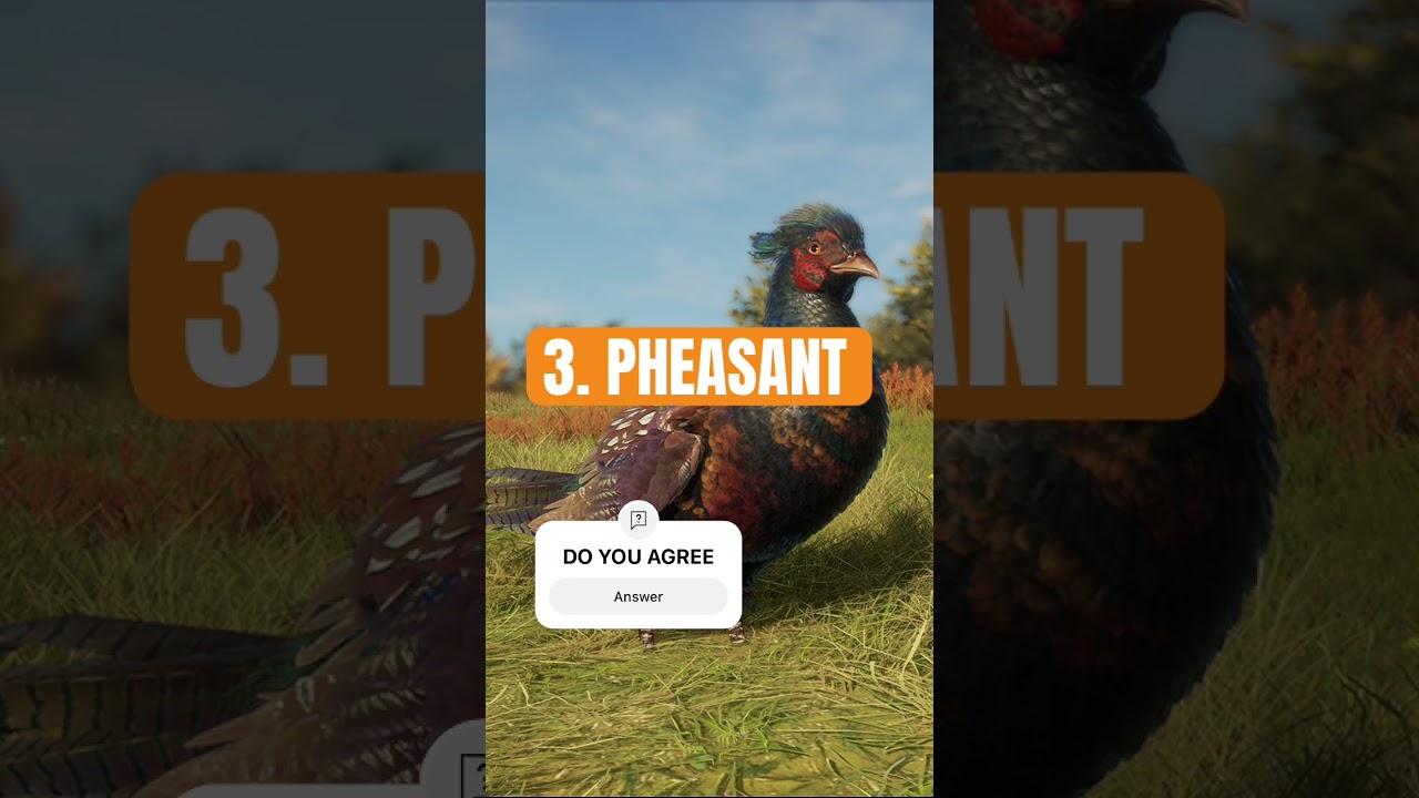 TOP 5 Easiest great ones #cotw #hunting #greatone