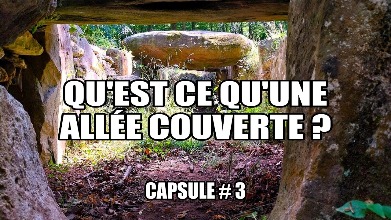 Découvrez l'allée couverte de la pierre plate, un mégalithe vieux de 4 000 ans !
