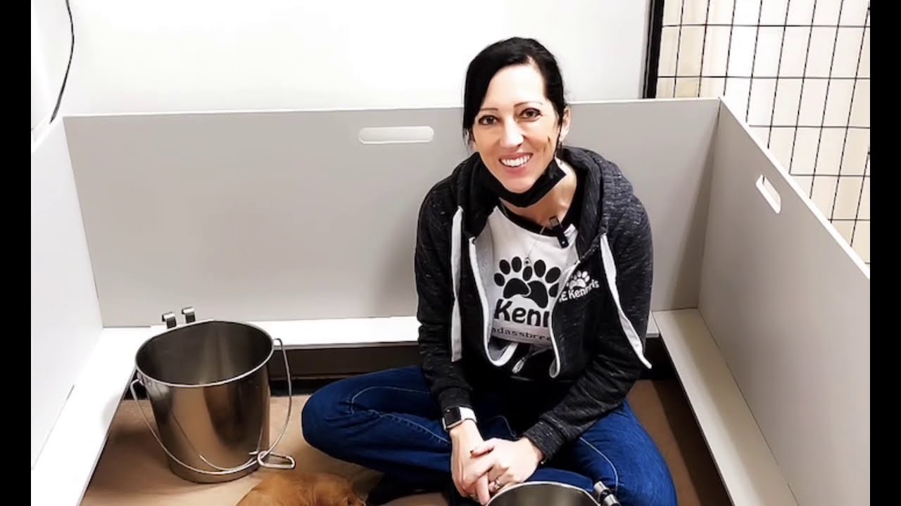 Curriculum for puppies at 3 weeks old