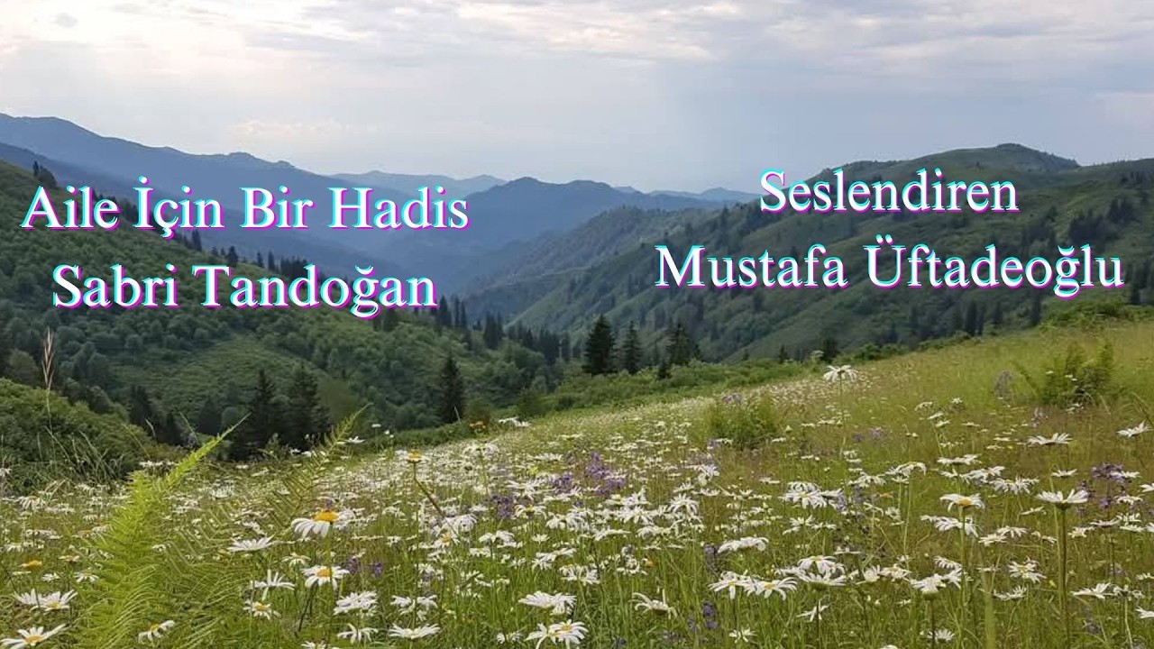 Aile İçin Bir Hadis, Sabri Tandoğan
