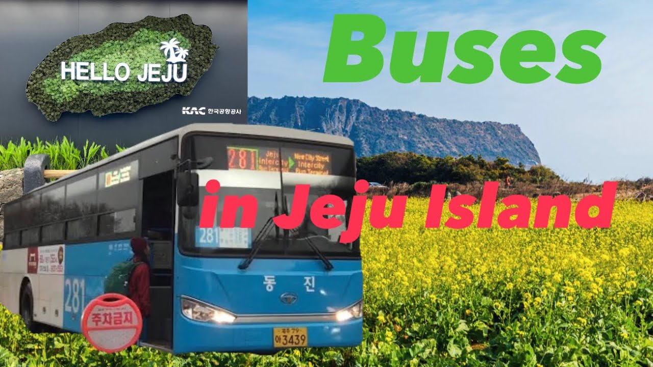 🇰🇷 제주도 버스 관측 | Buses in Jeju Island, South Korea 🇰🇷 (December 2018)