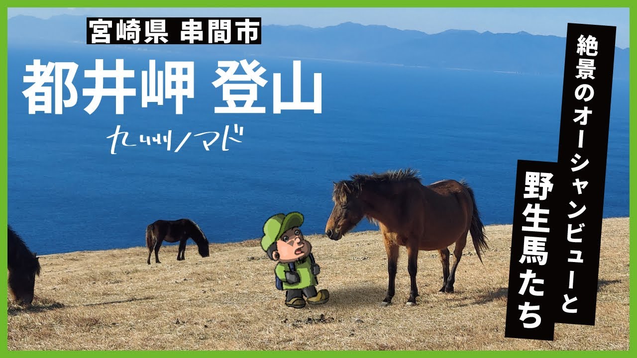 宮崎の絶景スポット！都井岬で馬と触れ合うハイキング：アクセスから登山道状況まで紹介