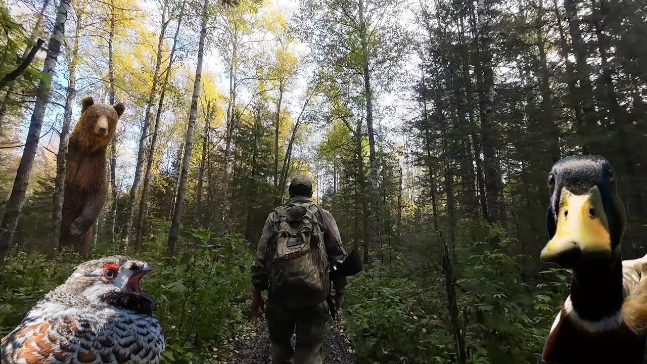 ШЁЛ ЗА РЯБЧИКОМ, А ДОБЫЛ… СЛЕДЫ МЕДВЕДЯ. ХОДОВАЯ ОХОТА В ТАЙГЕ с ТОЗ-34Р штучное.