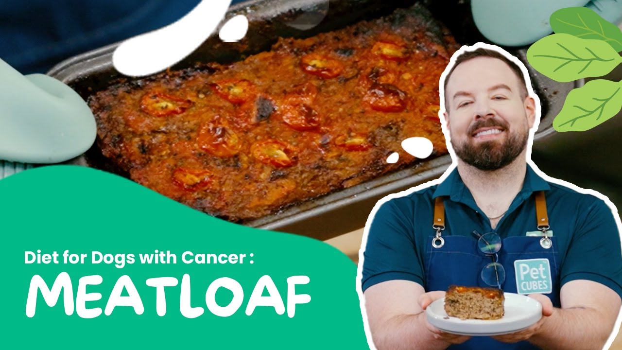 Feeding Dogs with Cancer: Easy Homemade Meatloaf Diet
