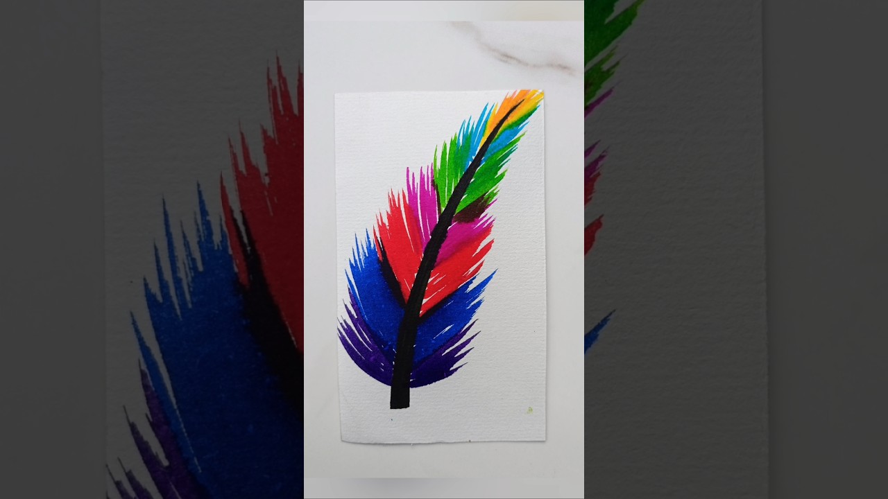 colourful feather 🪶