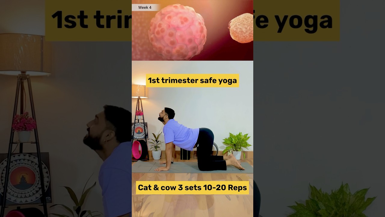 Safe 1st Trimester Yoga for Pregnancy #prenatalyoga #womenshealth