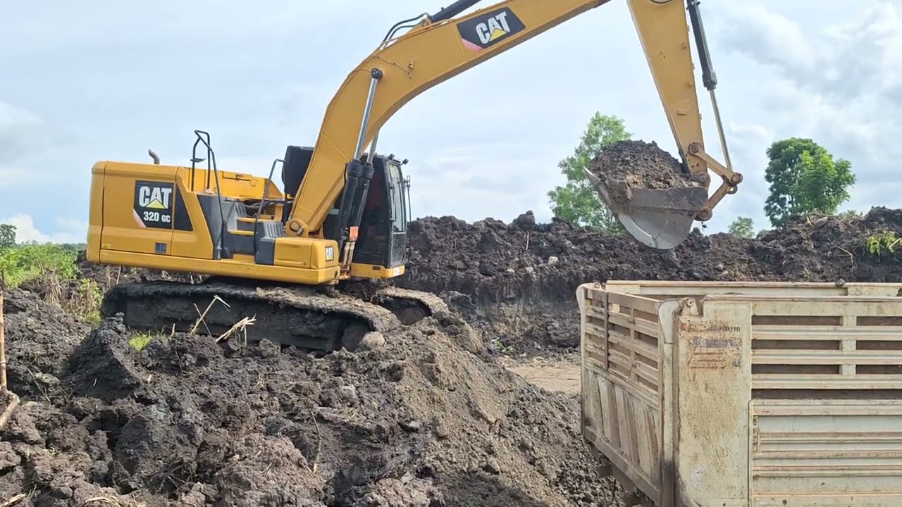 รีวิวรถขุด CAT 320GC เปิดบ่อใหม่ดินดำจัดเต็มอุ้มสี่สูบโบเดียวดั้มสิบล้อตั้งรับ excavator and truck