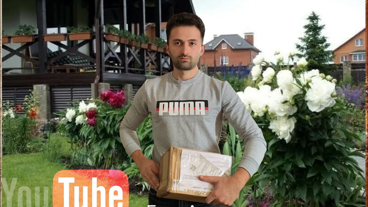 Посылка с пионами от Пулко￼￼в сад. Как посадить пионы? ￼￼
