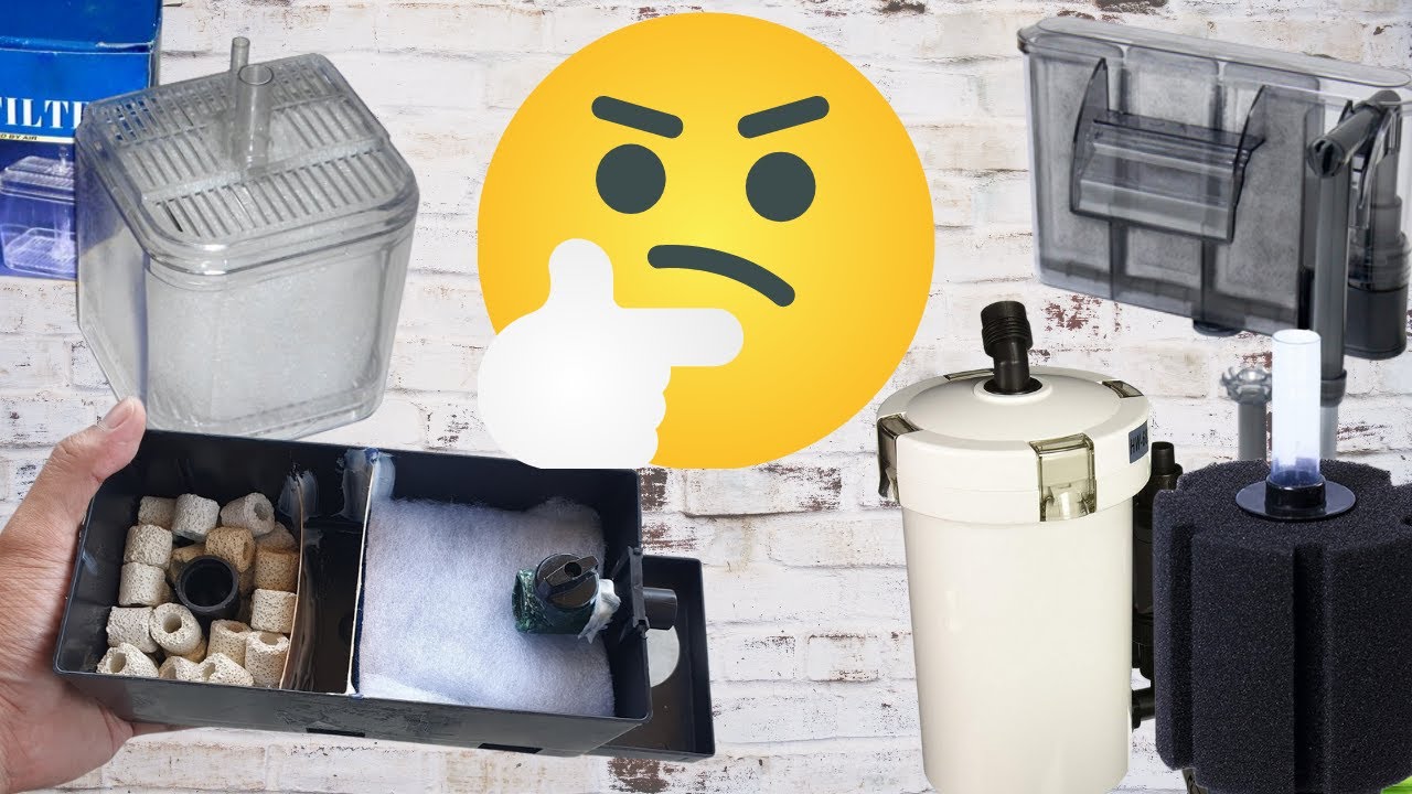 Paano Pumili ng Aquarium Filter | 5 Common Types Explained! | Katropapets