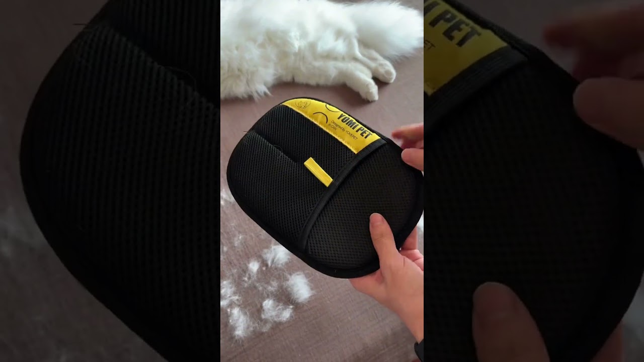 The most authentic pet hair product review in 2025🐈🐾 #pethairremoval #cat