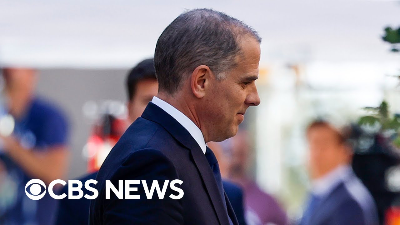 Recapping Hunter Biden's arraignment on federal gun charges
