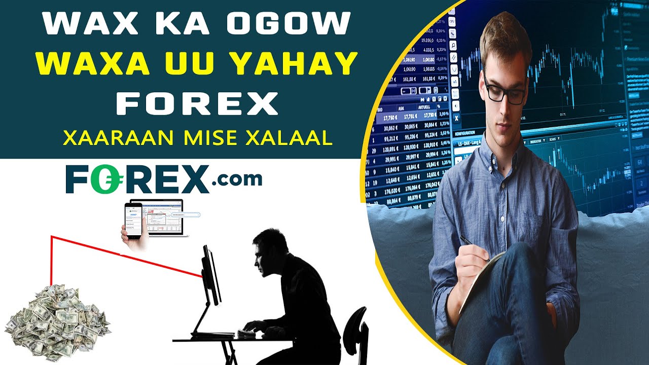 Macluumaad muhiim ah oo kusaabsan forex| suuqa sarifka lacagaha qalaad