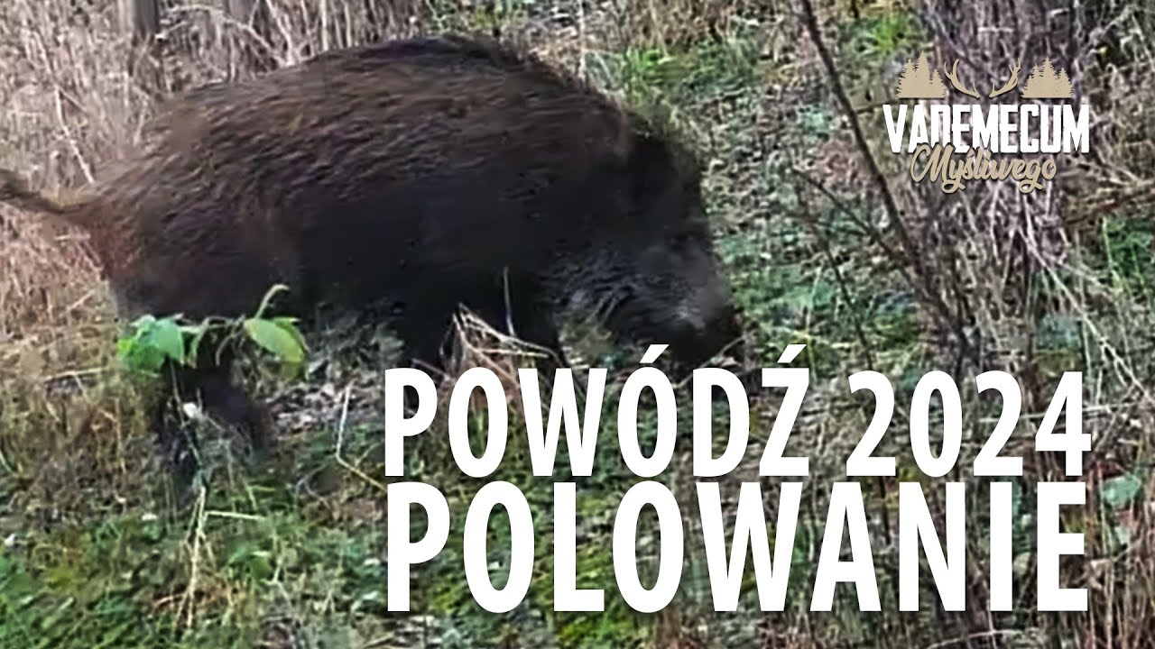 Polowanie na terenach zalewowych