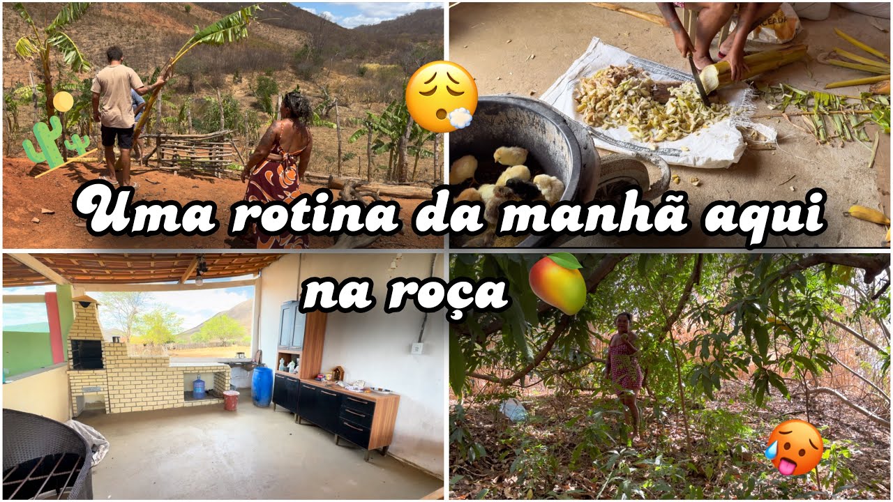 🌾🥵 Vida na Roça: A Manhã Mais Agitada de Todas!