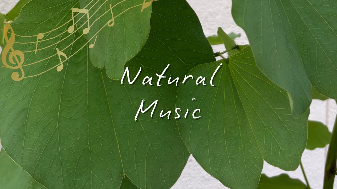 If don't want to fall asleep, don't listen! 30 Min Natural Music, Serene Vibe, Calm, Deep Sleep