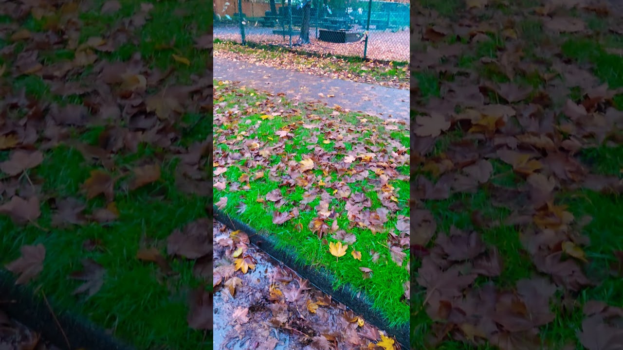 Autumn in canada | Vancouver | fall weekend 