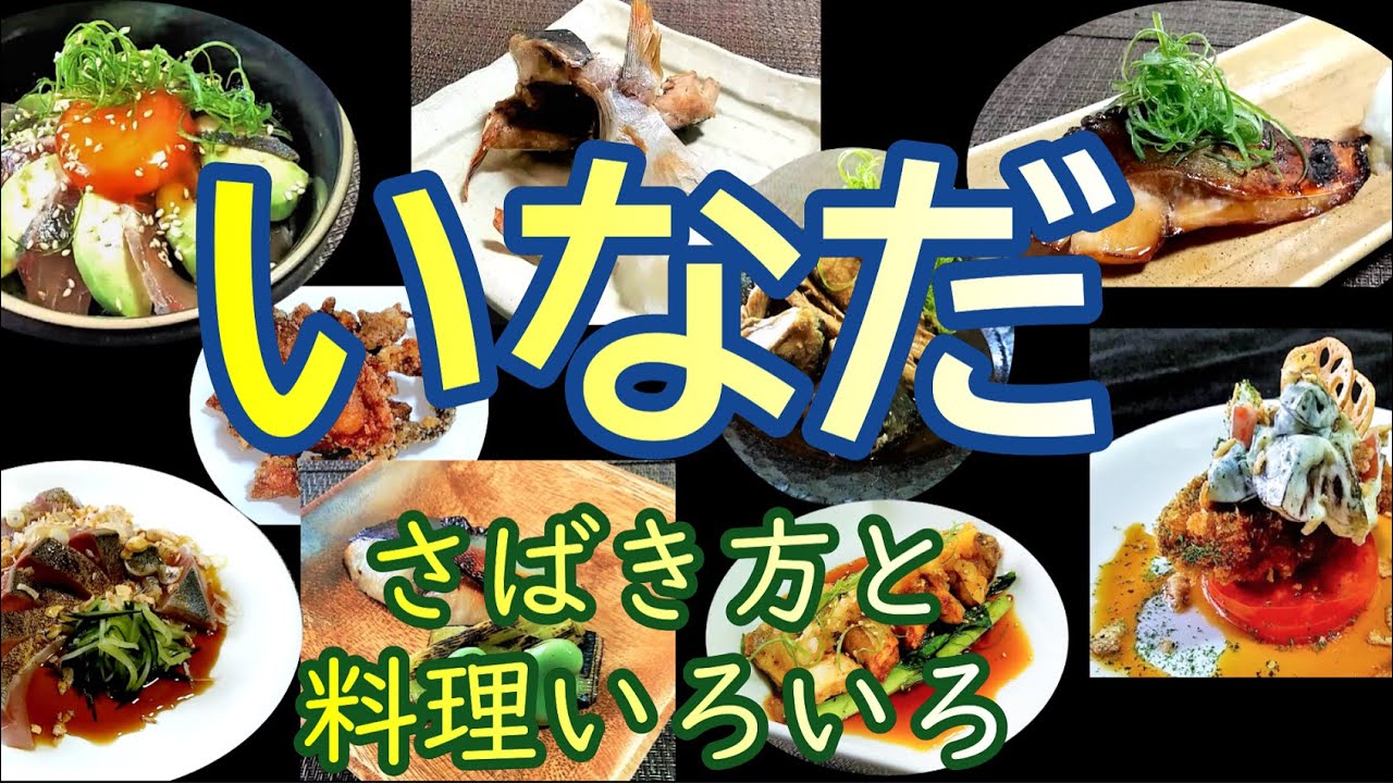 まだ高い切り身買っていますか？コスパ最高レベルの『いなだ』 捌き方と料理いろいろ # 357