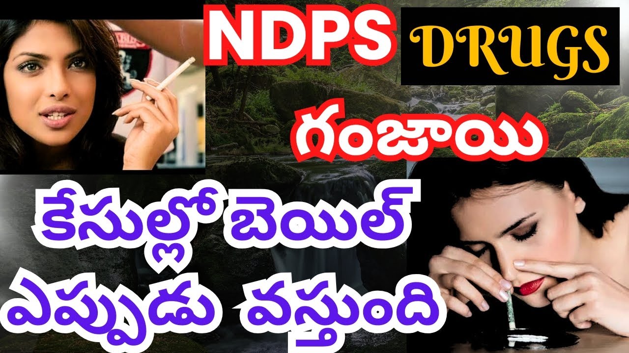Ndps case/how to get bail in ganja case/best lawyer for drugs ganja case vijayawada/save from ganja
