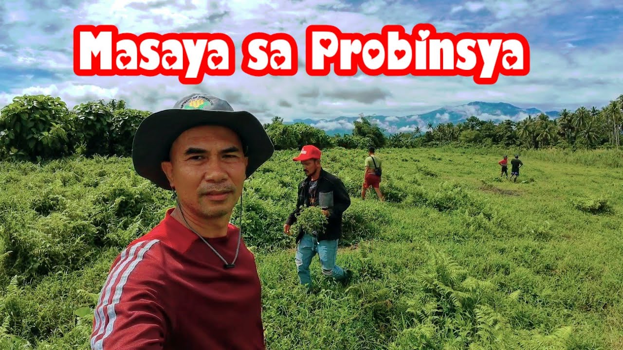 Nagpatraktora ng Bukid para sa Itatanim na Organic Rice | Masaya Talaga ang Buhay sa Probinsya😊😊😊